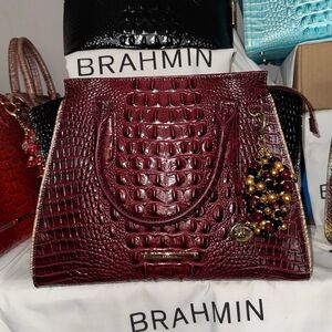 Brahmin Priscilla